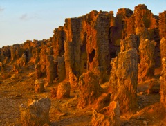 Petrified Forest near Portland, South Australia